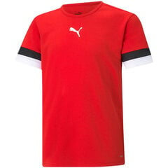 Laste T-särk Puma TeamRise Jersey Jr 704938 01, punane hind ja info | Poiste särgid | kaup24.ee