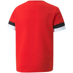 Laste T-särk Puma TeamRise Jersey Jr 704938 01, punane hind ja info | Puma Laste ja beebide riided, jalanõud | kaup24.ee