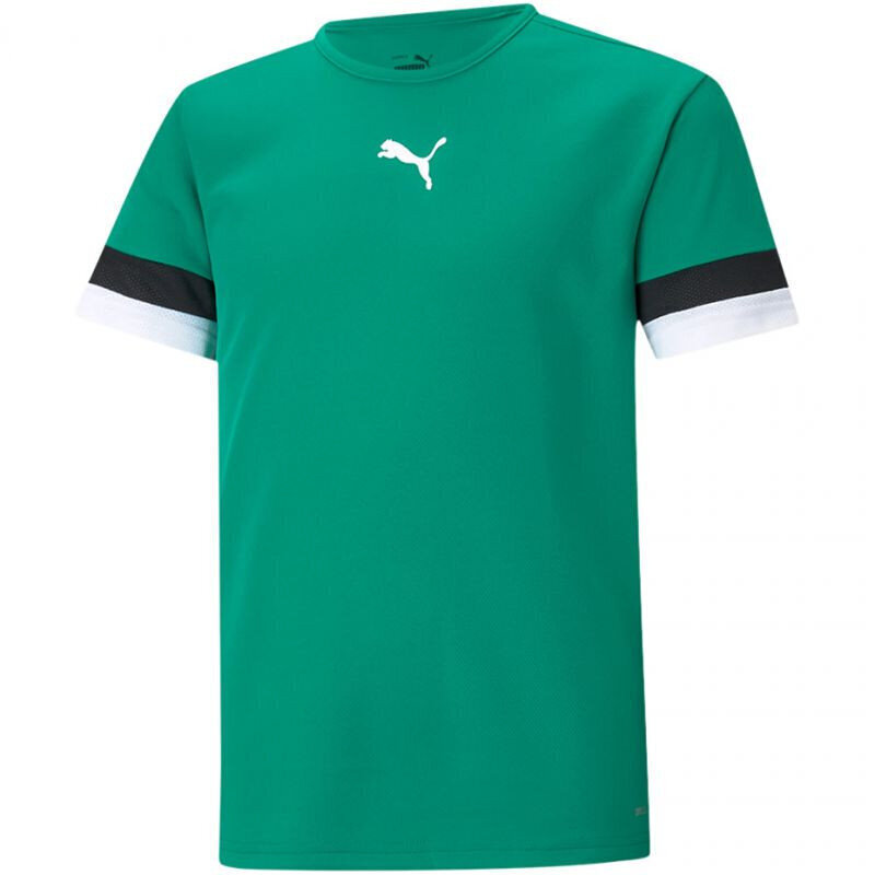 Laste T-särk Puma TeamRise Jersey Jr 704938 05, roheline hind ja info | Poiste särgid | kaup24.ee