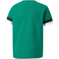 Laste T-särk Puma TeamRise Jersey Jr 704938 05, roheline hind ja info | Puma Laste ja beebide riided, jalanõud | kaup24.ee