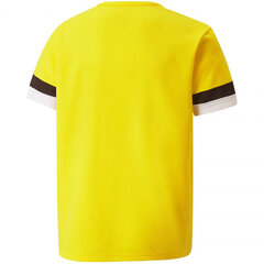 Футболка детская Puma TeamRise Jersey Jr. 704938 07, желтая цена и информация | Рубашки для мальчиков | kaup24.ee
