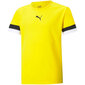 Laste T-särk Puma TeamRise Jersey Jr 704938 07, kollane цена и информация | Poiste särgid | kaup24.ee