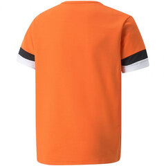 Laste T-särk Puma TeamRise Jersey Jr 704938 08, oranž цена и информация | Рубашки для мальчиков | kaup24.ee