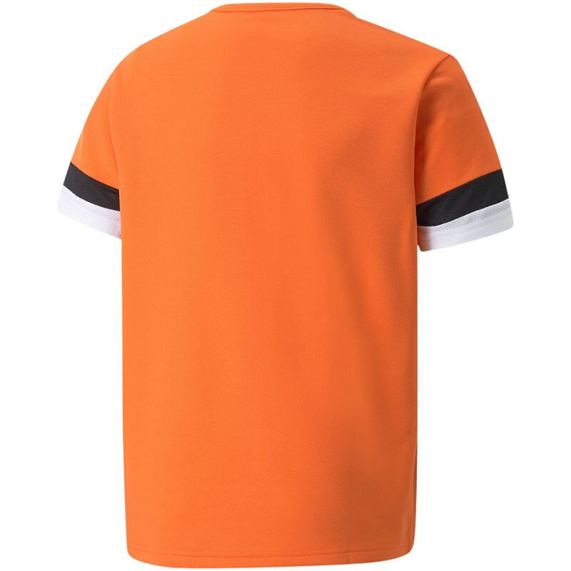 Laste T-särk Puma TeamRise Jersey Jr 704938 08, oranž hind ja info | Poiste särgid | kaup24.ee