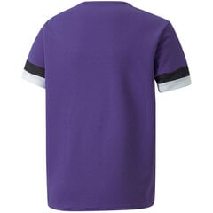 Laste T-särk Puma TeamRise Jersey Jr 704938 10, lilla hind ja info | Poiste särgid | kaup24.ee