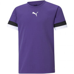 Laste T-särk Puma TeamRise Jersey Jr 704938 10, lilla hind ja info | Poiste särgid | kaup24.ee