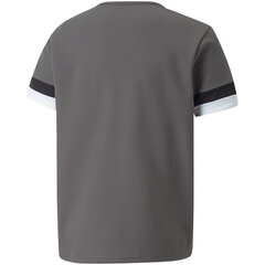 Laste T-särk Puma TeamRise Jersey Jr 704938 13, hall hind ja info | Poiste särgid | kaup24.ee