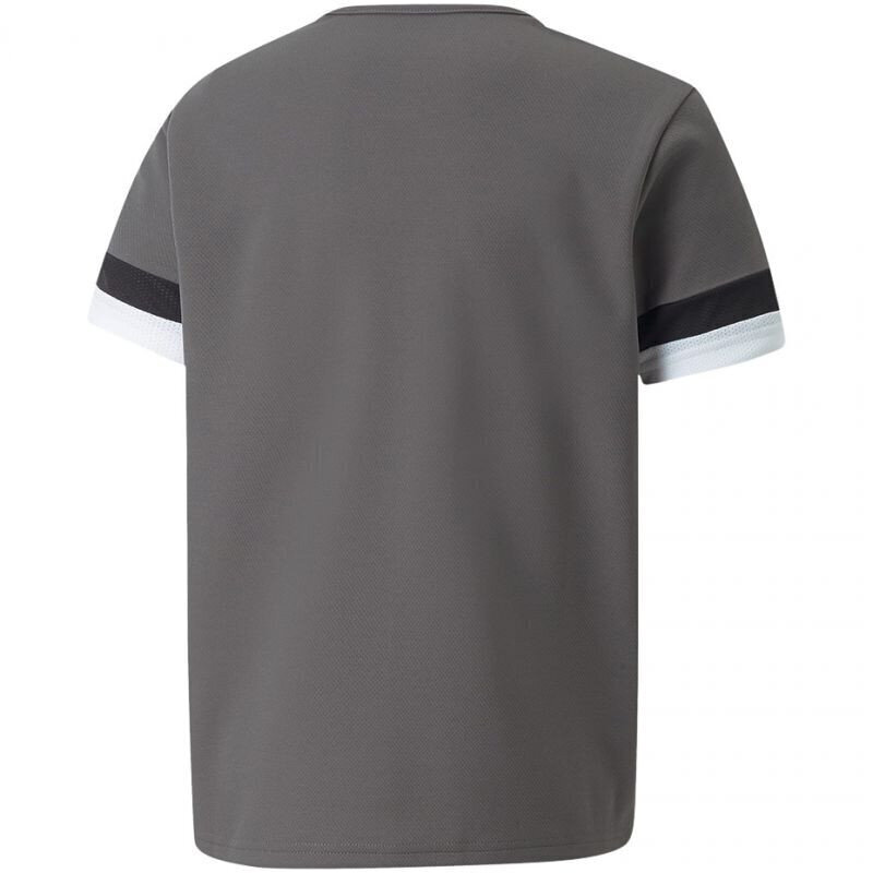 Laste T-särk Puma TeamRise Jersey Jr 704938 13, hall цена и информация | Poiste särgid | kaup24.ee