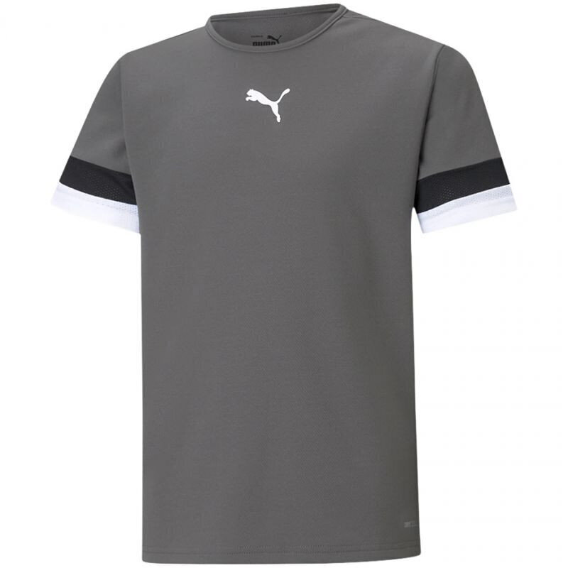 Laste T-särk Puma TeamRise Jersey Jr 704938 13, hall hind ja info | Poiste särgid | kaup24.ee