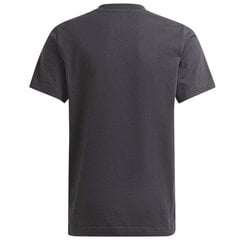 Футболка детская Adidas Graphic Tee Jr GU8917, серая цена и информация | Рубашки для мальчиков | kaup24.ee