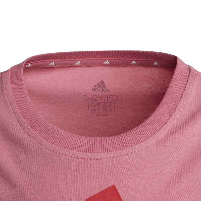Tüdrukute T-särk Adidas hind ja info | Tüdrukute särgid | kaup24.ee
