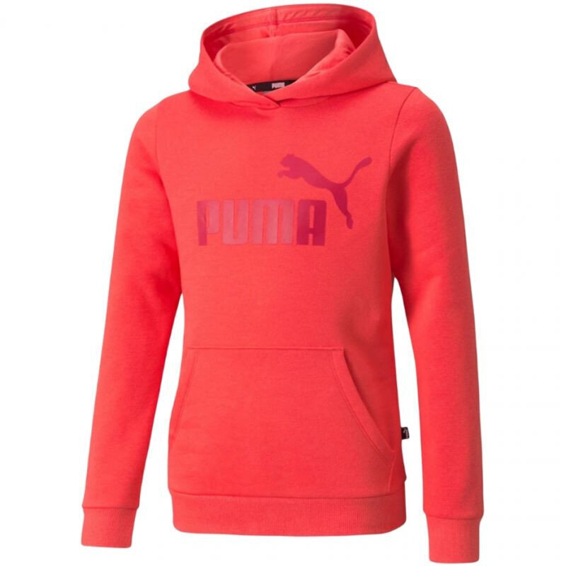 Tüdrukute dressipluus Puma ESS Logo Hoodie FL Jr 587031 35, punane цена и информация | Tüdrukute kampsunid, vestid ja jakid | kaup24.ee