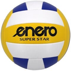 Võrkpalli pall Enero Super Star, suurus 5 hind ja info | Võrkpalli pallid | kaup24.ee