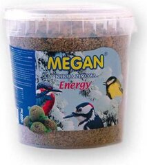 Жирный корм для зимующих птиц Megan, 1 л/730 г цена и информация | Корм для птиц | kaup24.ee