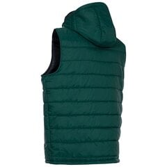 Meeste vest Trespass, roheline hind ja info | Meeste vestid | kaup24.ee