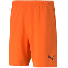 Meeste lühikesed püksid Puma TeamRise Short Prist M 704942 08, oranžid цена и информация | Мужские шорты | kaup24.ee