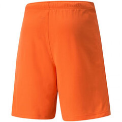 Мужские шорты Puma TeamRise Short Prist M 704942 08, оранжевые цена и информация | Мужские шорты | kaup24.ee