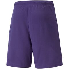 Мужские шорты Puma TeamRise Short Prist M 704942 10, фиолетовые цена и информация | Мужские шорты | kaup24.ee