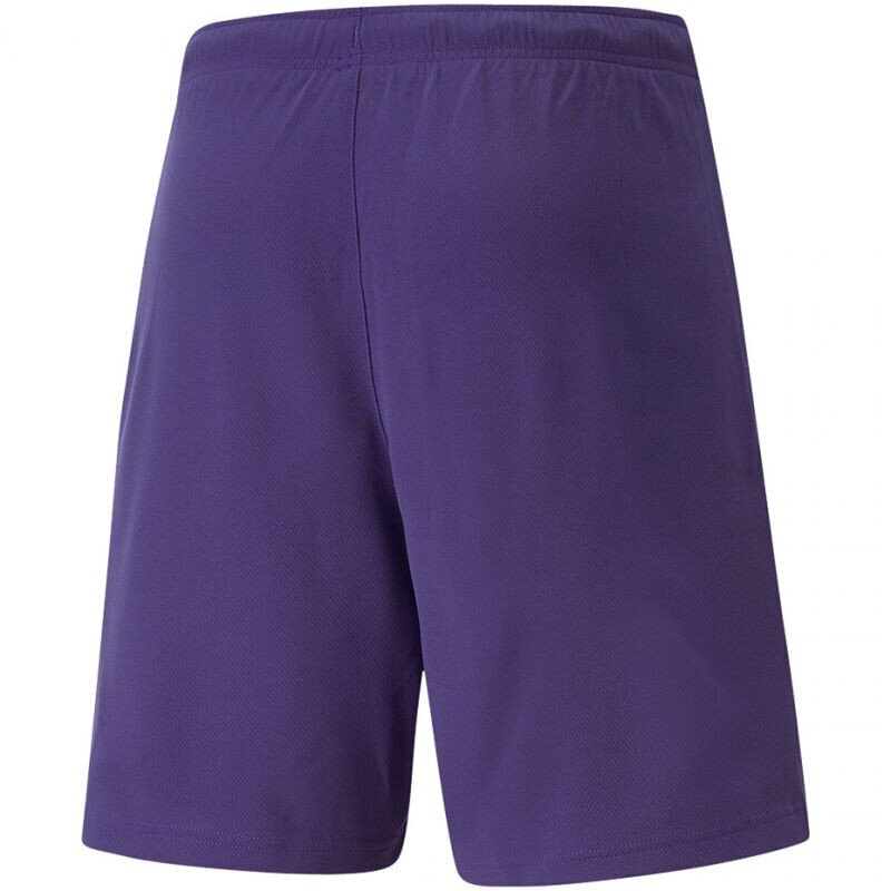 Meeste lühikesed püksid Puma TeamRise Short Prist M 704942 10, lillad hind ja info | Meeste lühikesed püksid | kaup24.ee