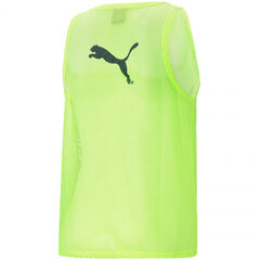 Мужская спортивная футболка Puma Bib M 65725142, зеленая цена и информация | Мужская спортивная одежда | kaup24.ee