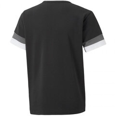 Laste T-särk Puma TeamRise Jersey Jr 704938 03, must hind ja info | Poiste särgid | kaup24.ee