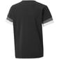 Laste T-särk Puma TeamRise Jersey Jr 704938 03, must цена и информация | Poiste särgid | kaup24.ee