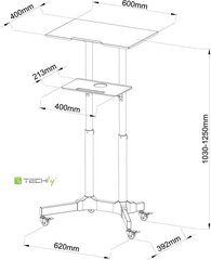 Универсальный стол для презентаций Techly, с колесиками, черный цена и информация | Охлаждающие подставки и другие принадлежности | kaup24.ee