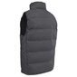 Meeste vest Trespass MAJKGIK10003, hall hind ja info | Meeste vestid | kaup24.ee