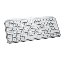 Logitech MX Keys Mini hind ja info | Klaviatuurid | kaup24.ee