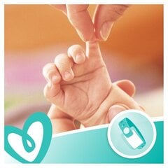 Влажные салфетки ​Pampers Sensitive, 12 x 52 шт. цена и информация | Pampers Товары для детей и младенцев | kaup24.ee