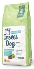 Täissööt koertele Green Dog hüpoallergeenne putukavalguga terav - vaba, 900g цена и информация | Сухой корм для собак | kaup24.ee