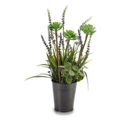 Dekoratiivne taim Lavendel, 13 x 40 x 13 cm hind ja info | Dekoratsioonid | kaup24.ee