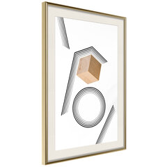 Плакат Cube in a Trap цена и информация | Картины, живопись | kaup24.ee