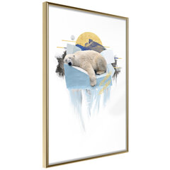 Poster - King of the Arctic hind ja info | Seinapildid | kaup24.ee