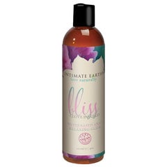 Мужской лубрикант на водной основе Basic 100 мл Intimate Earth Bliss Anal Relaxing Glide (120 ml) цена и информация | Лубриканты | kaup24.ee