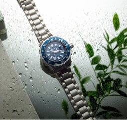Мужские часы Gant Pacific W70642 S0355511, синий/серебристый цена и информация | Мужские часы | kaup24.ee