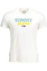 Meeste T-särk Tommy Hilfiger DM0DM12853, valge hind ja info | Meeste T-särgid | kaup24.ee