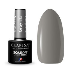 Стойкий гибридный лак для ногтей Claresa Grey 213, 5 г цена и информация | Лаки для ногтей, укрепители для ногтей | kaup24.ee