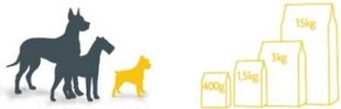 Fitmin Fitmin Mini Puppy - 15 кг цена и информация | Сухой корм для собак | kaup24.ee