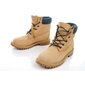 Naiste saapad Timberland 6in Boot M A1PLO hind ja info | Naiste saapad | kaup24.ee