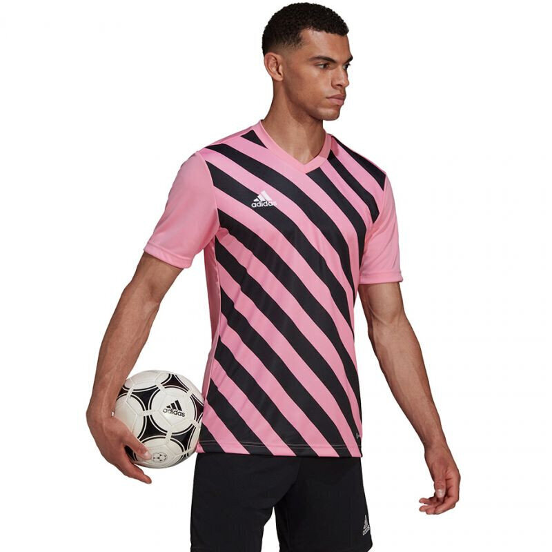 Meeste T-särk Adidas Entrada 22 Graphic Jersey, roosa hind ja info | Meeste spordiriided | kaup24.ee