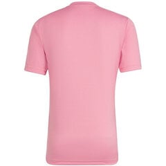 Meeste T-särk Adidas Entrada 22 Graphic Jersey, roosa цена и информация | Мужская спортивная одежда | kaup24.ee