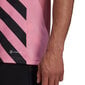 Meeste T-särk Adidas Entrada 22 Graphic Jersey, roosa hind ja info | Meeste spordiriided | kaup24.ee