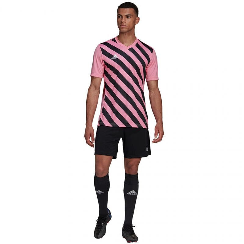Meeste T-särk Adidas Entrada 22 Graphic Jersey, roosa цена и информация | Meeste spordiriided | kaup24.ee