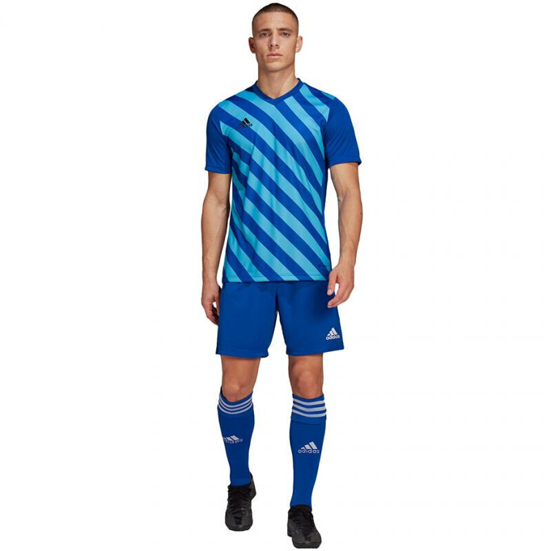 Meeste T-särk Adidas Entrada 22 Graphic Jersey, sinine hind ja info | Meeste spordiriided | kaup24.ee