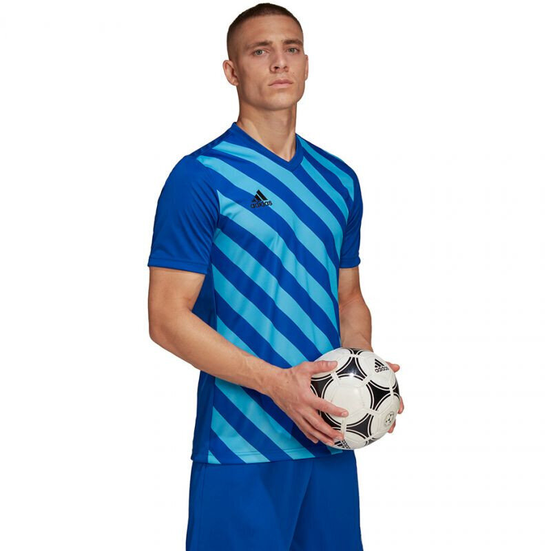 Meeste T-särk Adidas Entrada 22 Graphic Jersey, sinine hind ja info | Meeste spordiriided | kaup24.ee