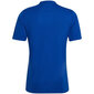 Meeste T-särk Adidas Entrada 22 Graphic Jersey, sinine цена и информация | Meeste spordiriided | kaup24.ee