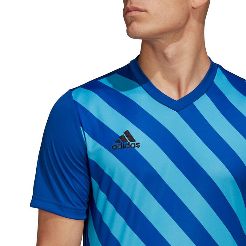 Meeste T-särk Adidas Entrada 22 Graphic Jersey, sinine hind ja info | Meeste spordiriided | kaup24.ee