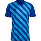 Meeste T-särk Adidas Entrada 22 Graphic Jersey, sinine hind ja info | Meeste spordiriided | kaup24.ee