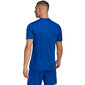 Meeste T-särk Adidas Entrada 22 Graphic Jersey, sinine hind ja info | Meeste spordiriided | kaup24.ee